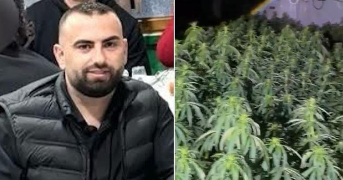 Lirohet nga detyra drejtori i burgut të Rrogozhinës Bilal Hasa, me 4 mijë rënjë canabis