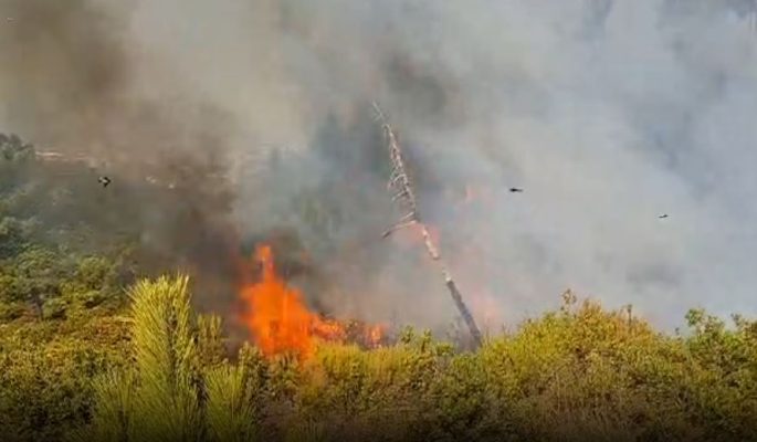 43 vatra zjarri në 24 orë në vend, 11 mbeten aktive/ Mbrojtja: FA dhe zjarrfikësit në terren